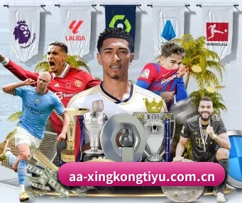星空体育登录入口 APP（XINGKONGSPORTS）